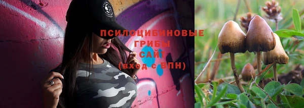 стафф Беломорск