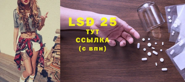 ГАЛЛЮЦИНОГЕННЫЕ ГРИБЫ Коряжма