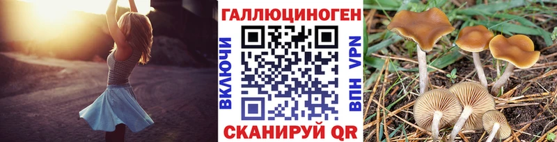 Галлюциногенные грибы MAGIC MUSHROOMS  Купить где  Каменск-Шахтинский 